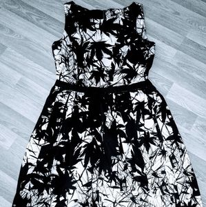 Taylor Dress